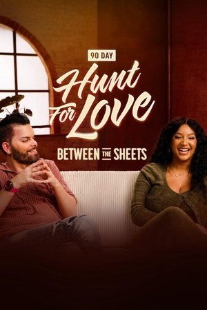 90 Day: Hunt For Love Between the Sheets online free