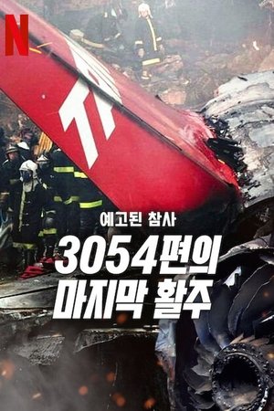 A Tragedy Foretold: Flight 3054 Season  1 online