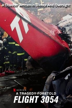 A Tragedy Foretold: Flight 3054 online free