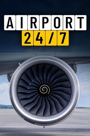 Airport 24/7 online free