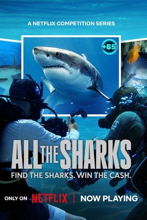 All the Sharks Online free