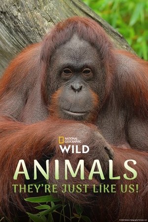 Animals, They're Just Like Us! Online free