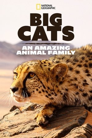 Big Cats: An Amazing Animal Family Season  1 online