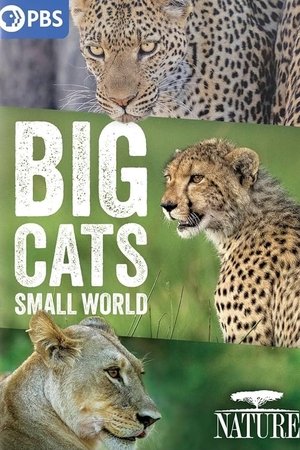 Big Cats, Small World Season  1 online