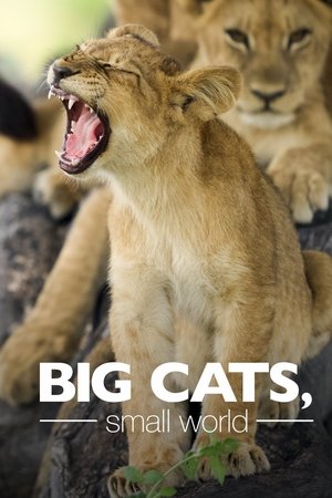 Big Cats, Small World online free