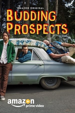 Budding Prospects Online free