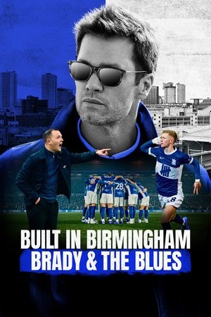 Built in Birmingham: Brady & the Blues Season  1 online