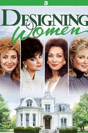 Designing Women Season  3 online