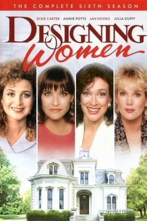 Designing Women Season  6 online