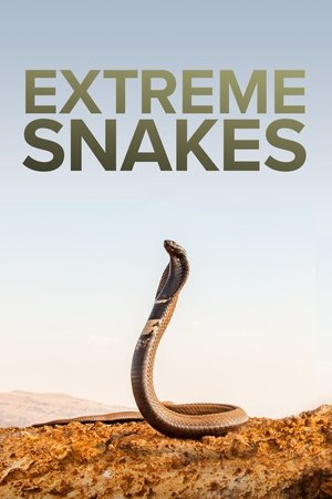 Extreme Snakes online free