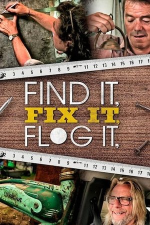 Find It, Fix It, Flog It Season  1 online