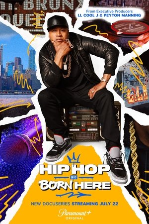 Hip Hop Was Born Here Online free