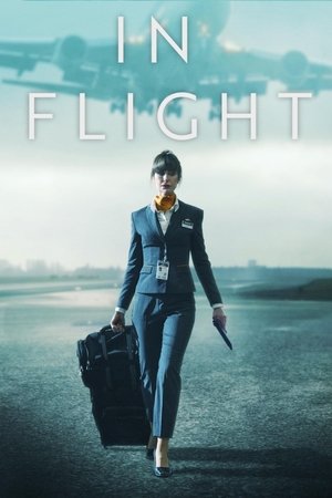 In Flight Online free