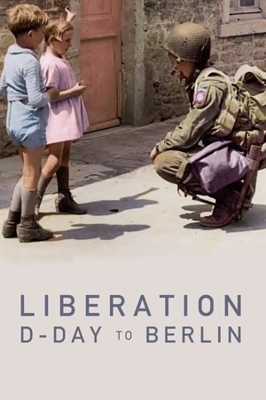Liberation: D-Day to Berlin online free
