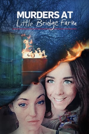 Murders at Little Bridge Farm Online free