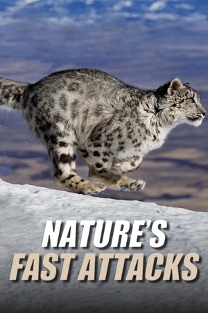 Nature's Fast Attacks online free