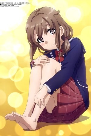 Rascal Does Not Dream of Bunny Girl Senpai Season  0 online