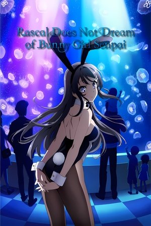 Rascal Does Not Dream of Bunny Girl Senpai Online free