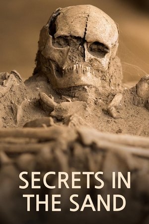 Secrets in the Sand online free