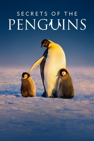 Secrets of the Penguins online free