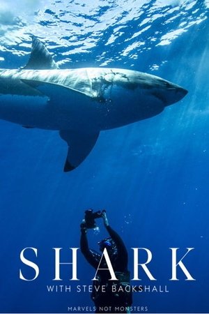 Shark with Steve Backshall online free