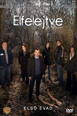 The Forgotten Season  1 online