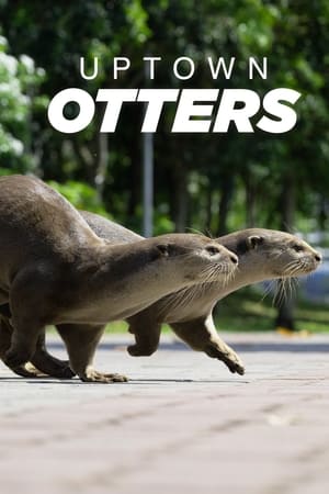 Uptown Otters online free