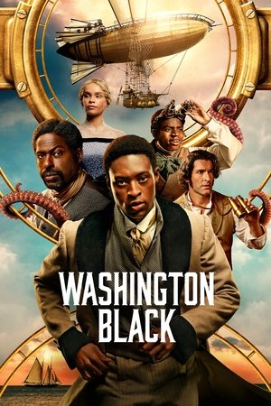Washington Black Online free