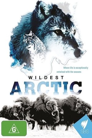 Wildest Arctic Season  1 online